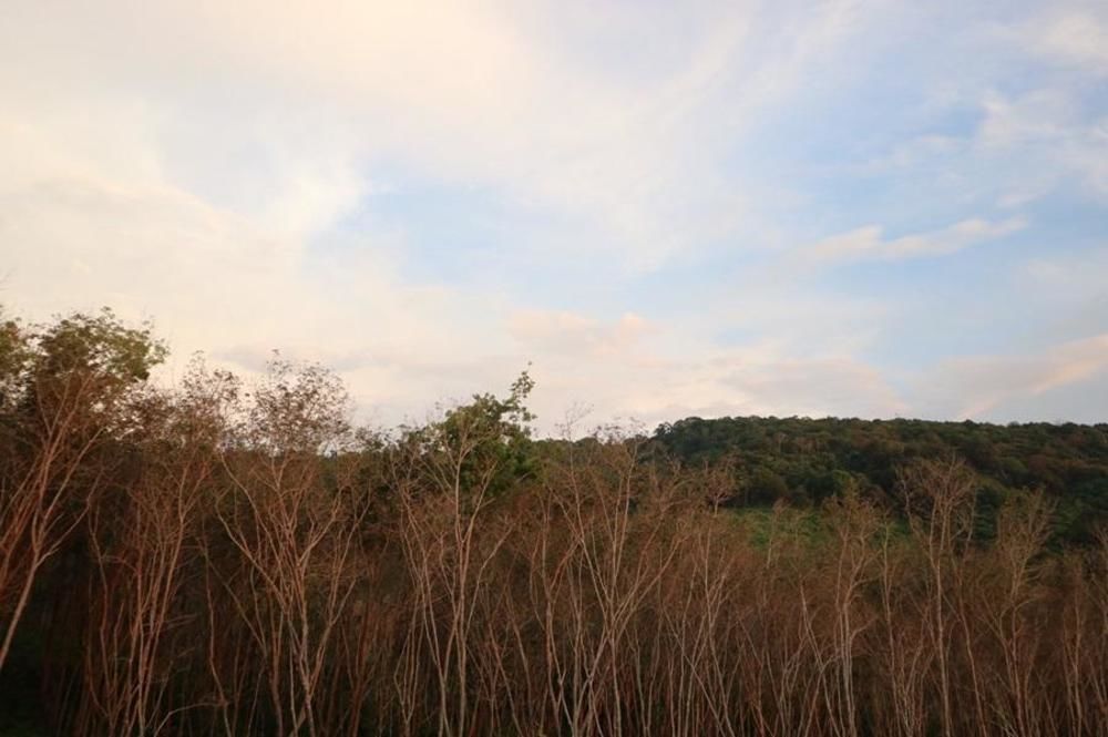 Cottage Hill At Lanta Ko Lanta Buitenkant foto